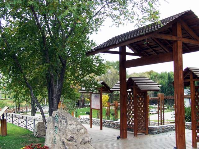 ������԰��