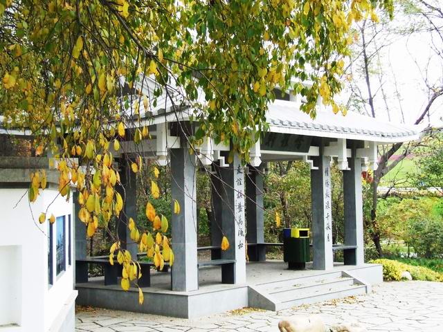 ������԰��