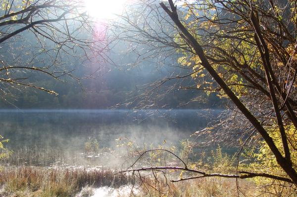 Ұè��è�ξ�N����