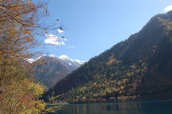 Ұè��è�ξ�N����