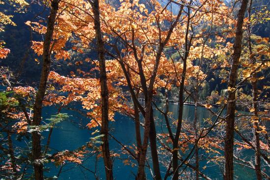 Ұè��è�ξ�N����