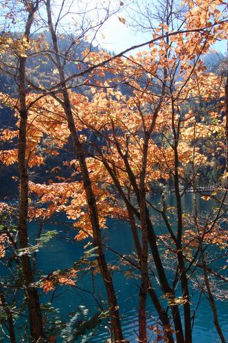 Ұè��è�ξ�N����