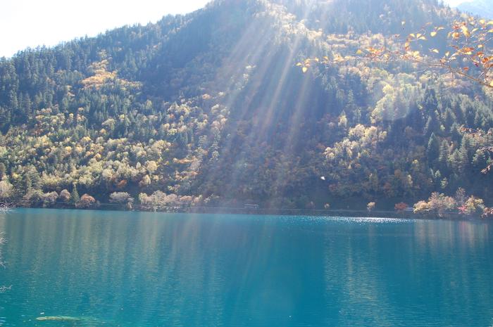 Ұè��è�ξ�N����