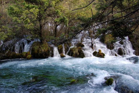 Ұè��è�ξ�N����