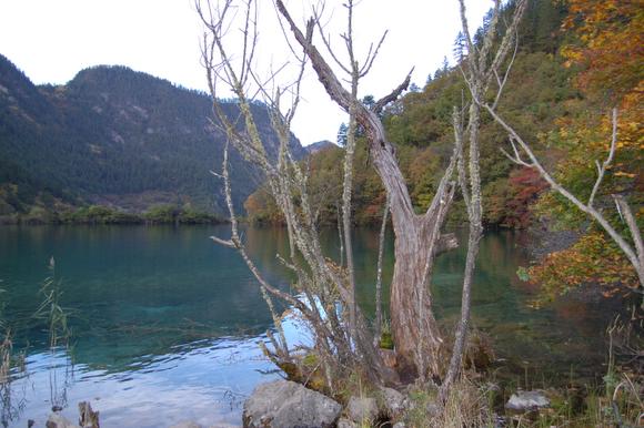 Ұè��è�ξ�N����