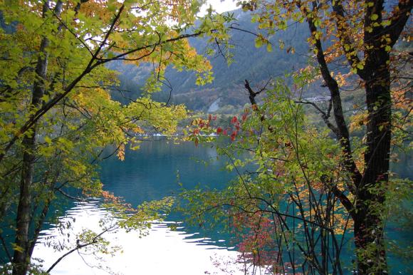 Ұè��è�ξ�N����