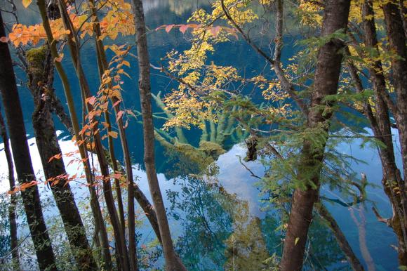 Ұè��è�ξ�N����