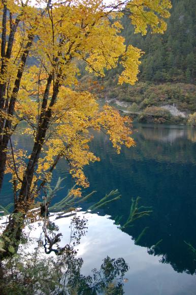 Ұè��è�ξ�N����