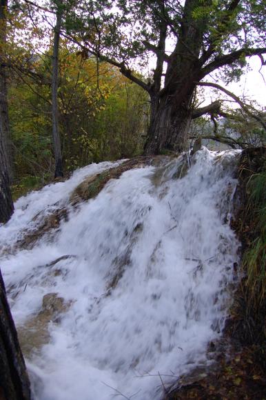 Ұè��è�ξ�N����