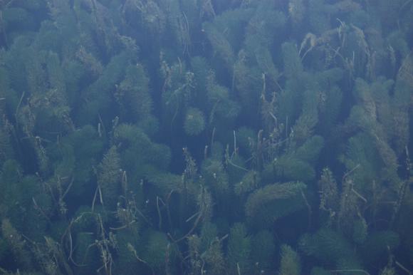 Ұè��è�ξ�N����