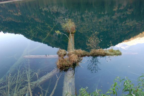 Ұè��è�ξ�N����