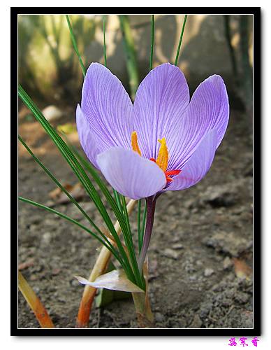 ������!�У������غ컨�����Ҫ����!