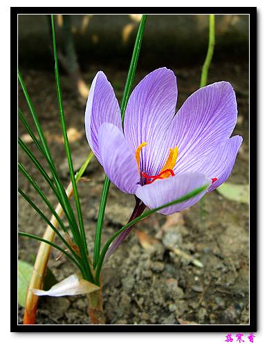 ������!�У������غ컨�����Ҫ����!