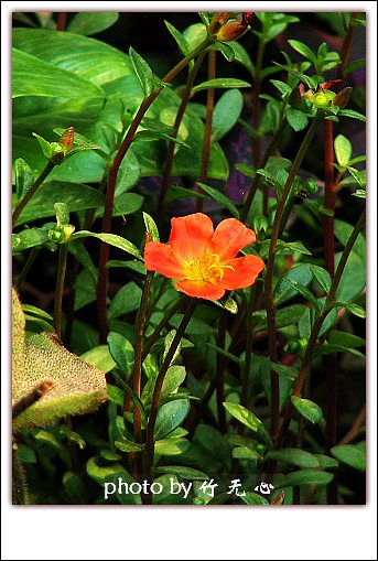 �ɱ�ȥ������~