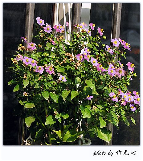 �ɱ�ȥ������~