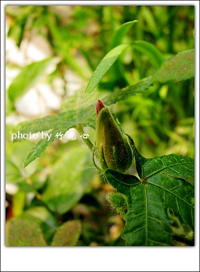 �ɱ�ȥ������~