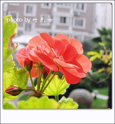 �ɱ�ȥ������~