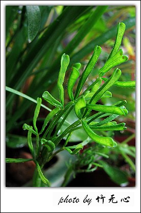 ����Ļ���~P8,�׻�������..