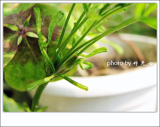 ����Ļ���~P8,�׻�������..