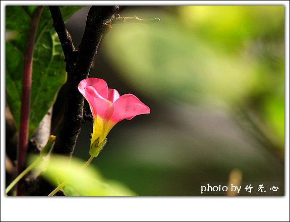 ����Ļ���~P8,�׻�������..