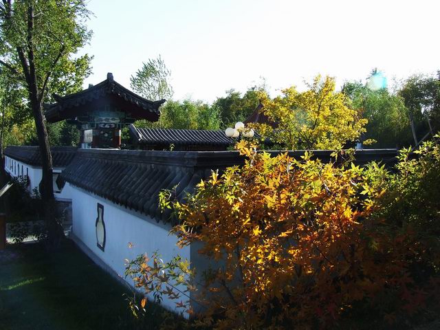 ������԰��