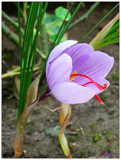 ������!�У������غ컨����!