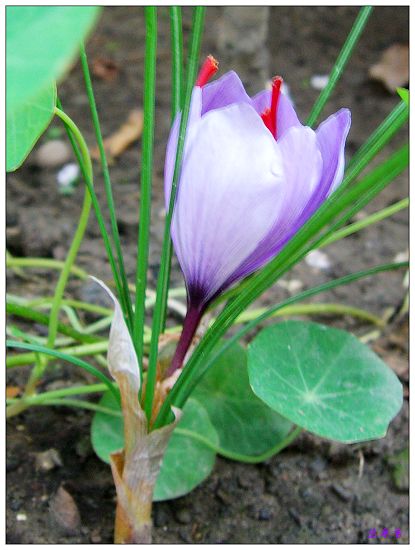 ������!�У������غ컨����!