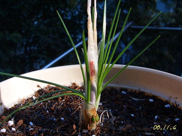 ������!�У������غ컨����!