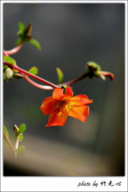 �ɱ�ȥ������~