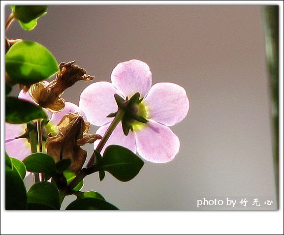 �ɱ�ȥ������~