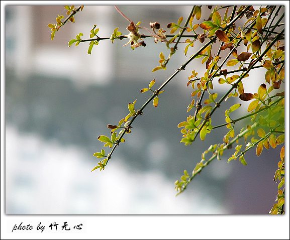 �ɱ�ȥ������~