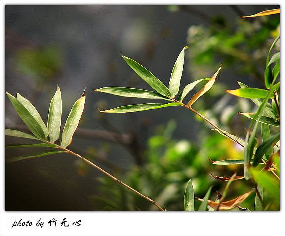 �ɱ�ȥ������~