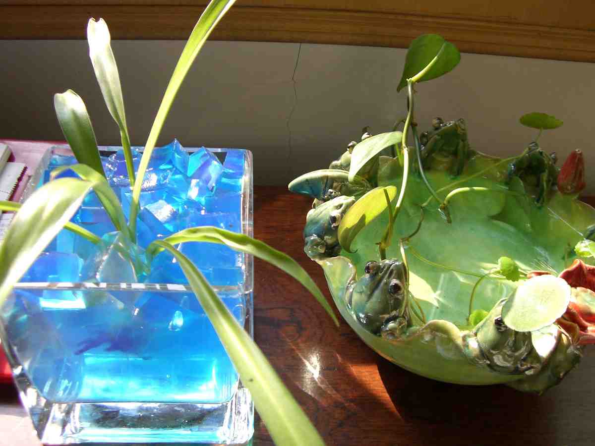 �����ֻ��ɹ��㱨