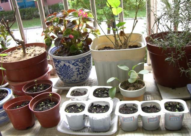 �����ֻ��ɹ��㱨