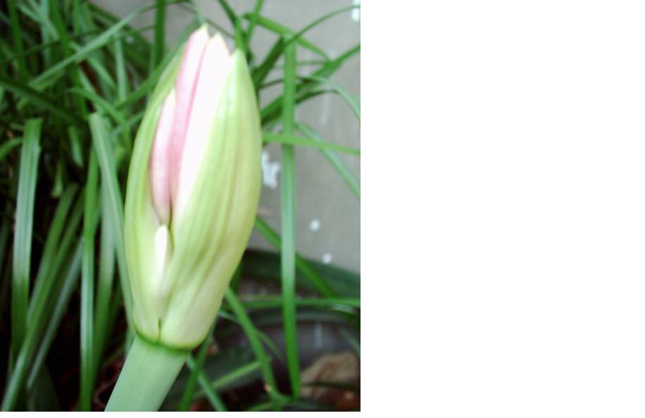 ���ߵ����ο���