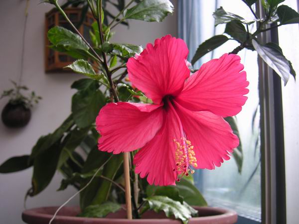 ���Է���--Ư���ķ�ɣ