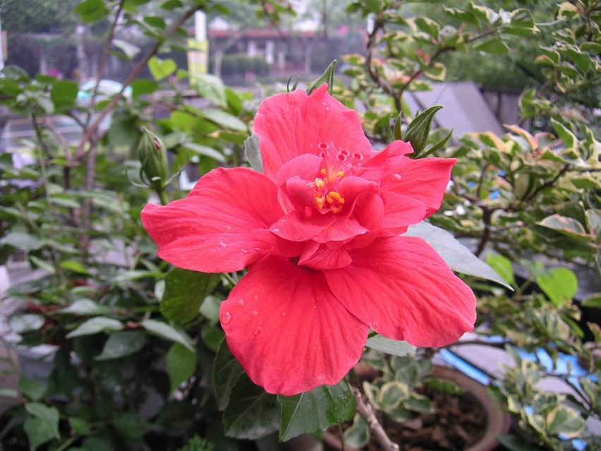 ���Է���--Ư���ķ�ɣ