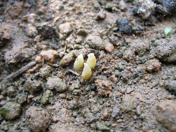 ������!�У������غ컨����!