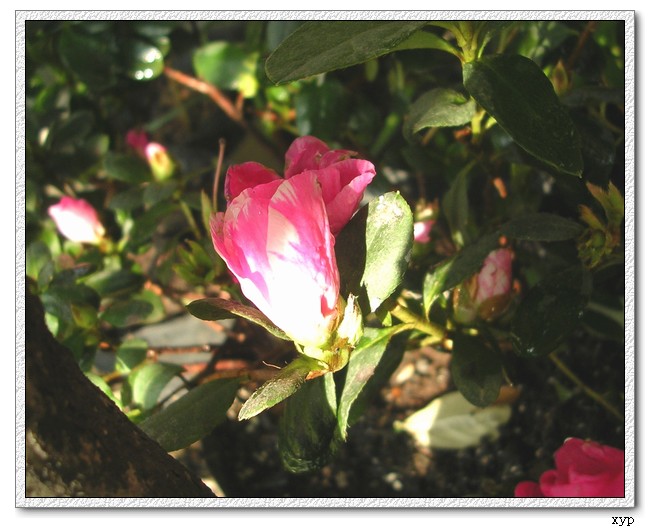 �ҵ�һЩС��