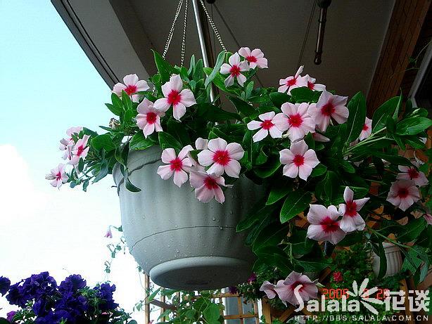 �Ҵ����մ����N����o�