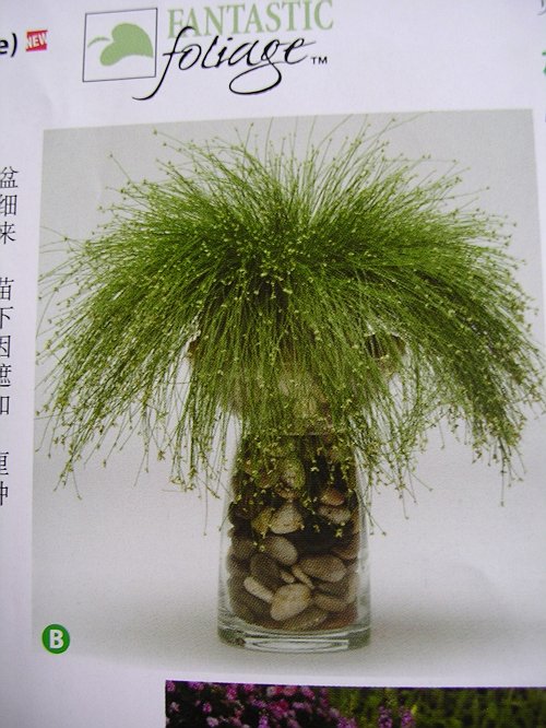 [�ܼ�]�aRachelҲ��ʼ�ﲥ���֡���P8���£�