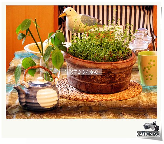 ���������Ǽ��еľӼ�ֲ������~ ������