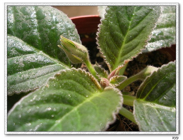 K��������ͩ�л���������