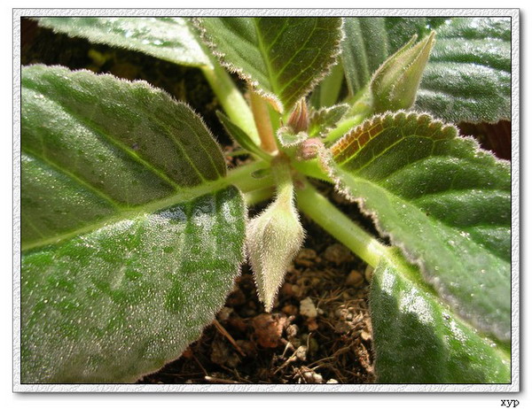 K��������ͩ�л���������