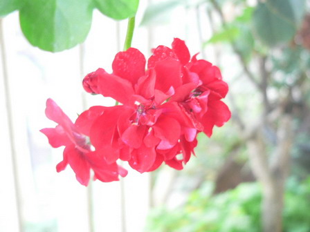 [ԭ��]�ҵĻ���