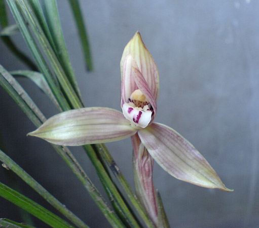 [����]06������԰