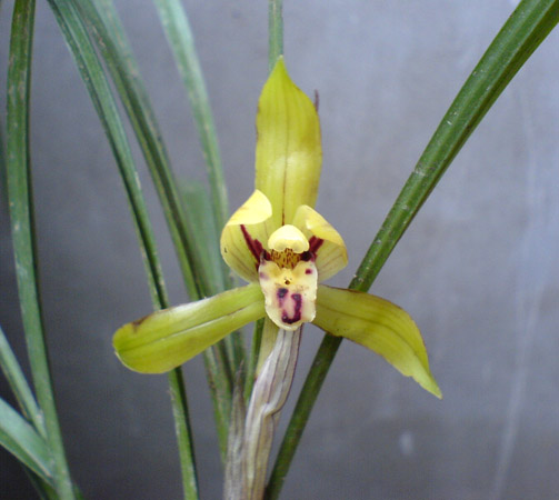 [����]06������԰