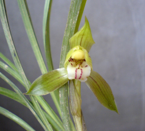 [����]06������԰