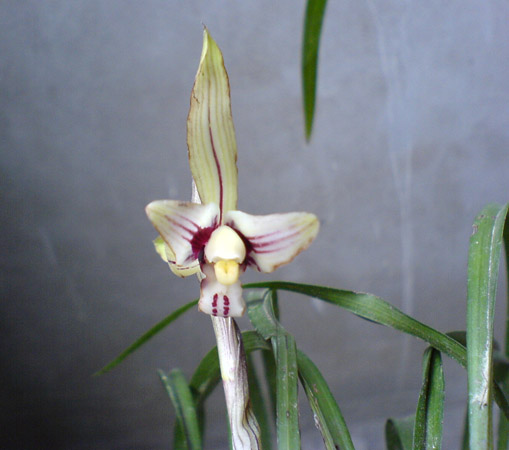 [����]06������԰