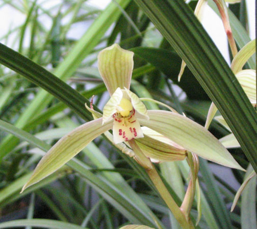 [����]06������԰